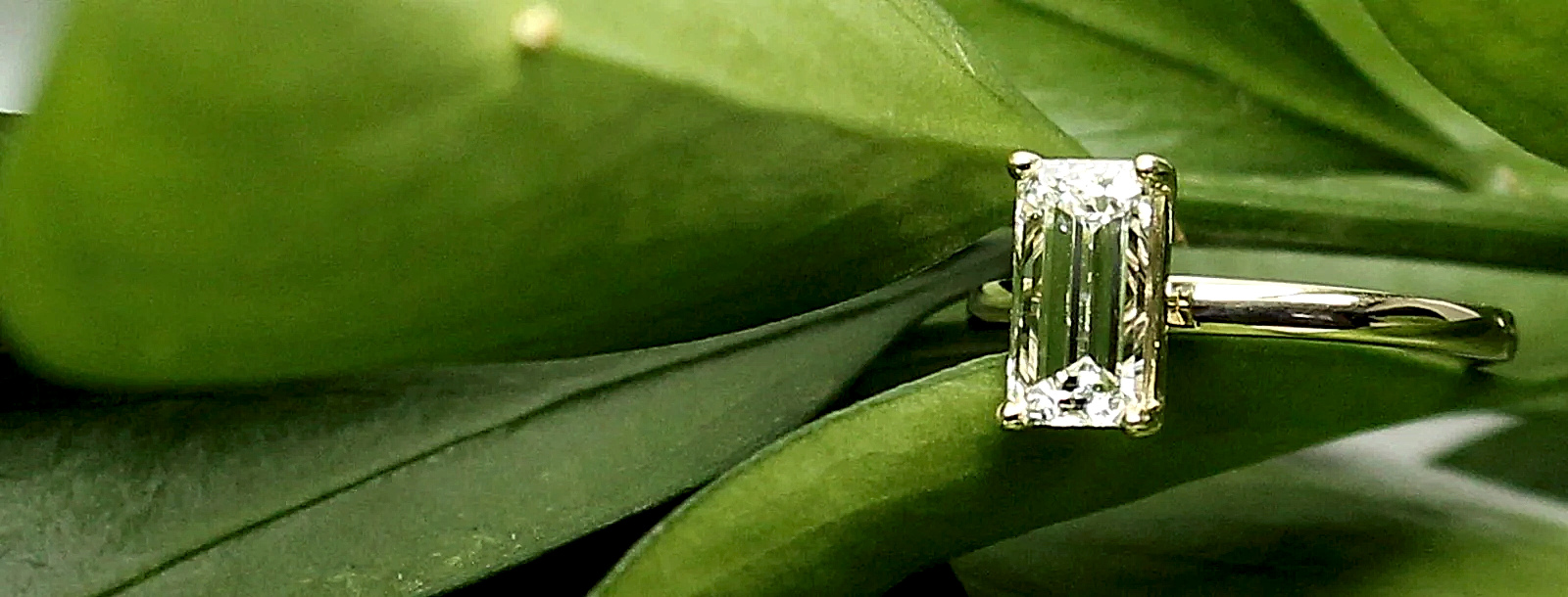 Custom Jewelry Design Vancouver BC, Canada, Diamonds Jewelry Designing, Lab Grown Diamonds Rings, Earnings and Wedding Bands at LL Private Jewellers