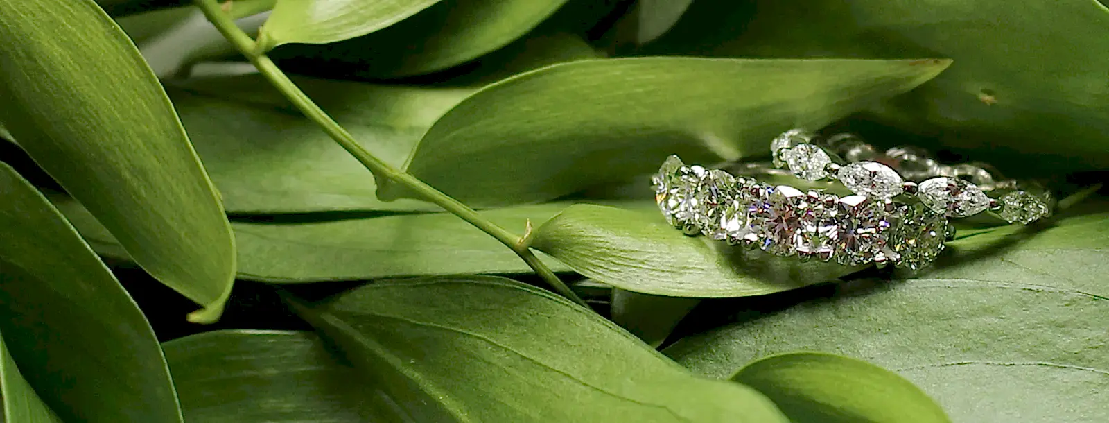 Engagement Rings Vancouver
